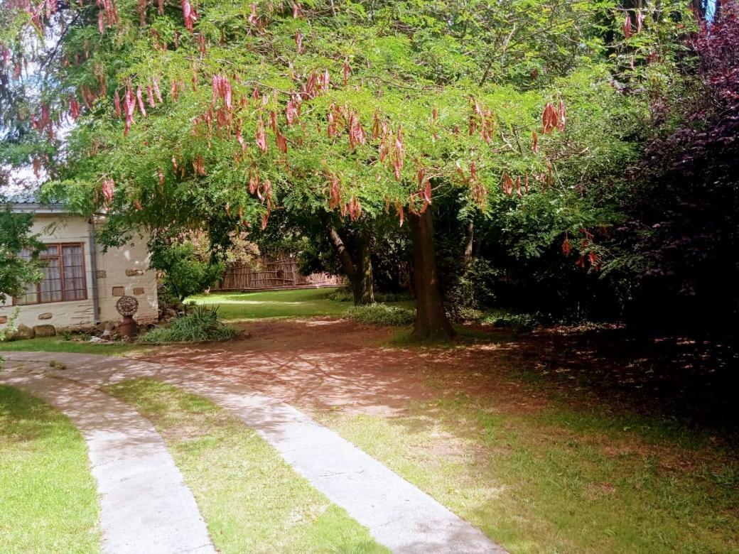 Rheola'S Guest Cottage Harrismith Exterior photo